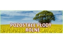 Holstar Pęzino: owoce, warzywa, hurtownia warzyw i owoców, sprzedaż hurtowa owoców i warzyw